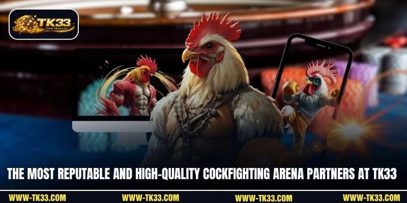 The most reputable and high-quality cockfighting arena partners at TK33